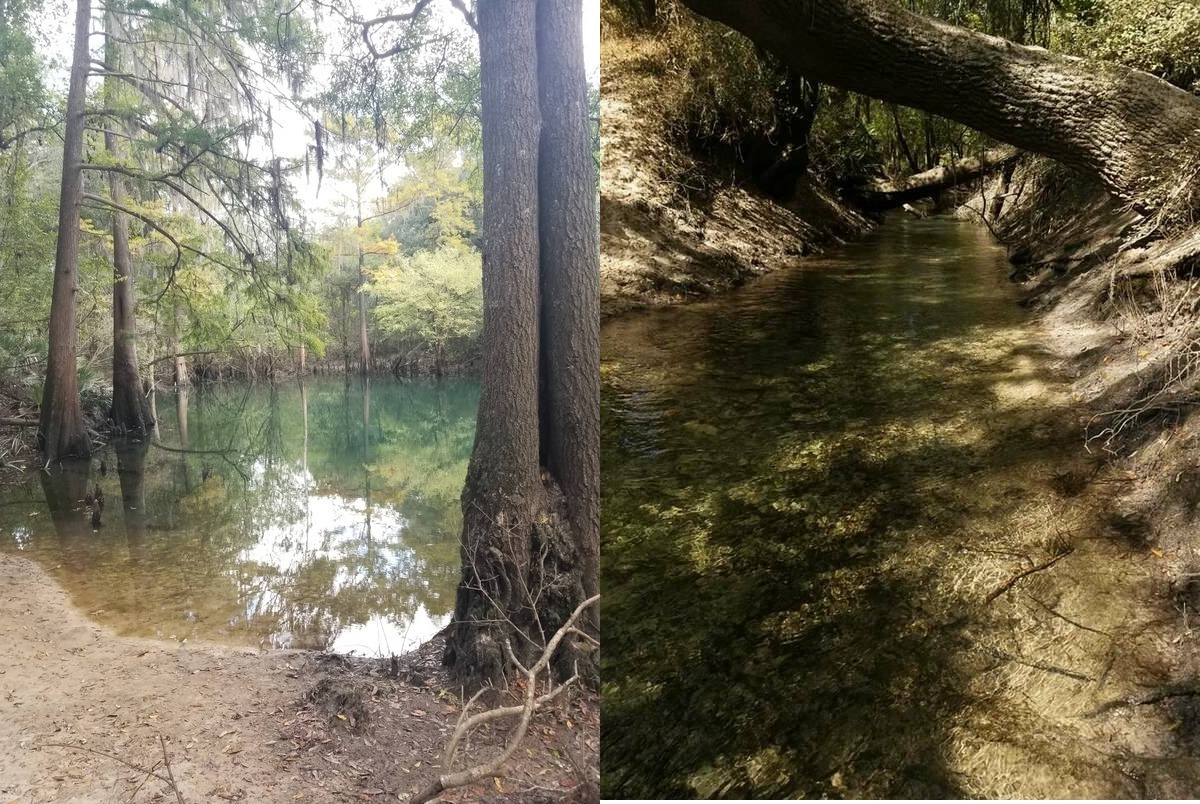 [Blue Sink and Sullivan Slough]