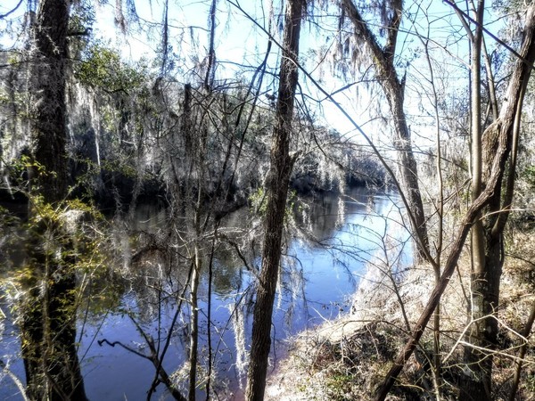 [Suwannee River at Gibson Park]