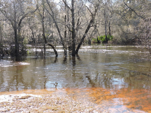 Downstream, submerged Nankin Boat Ramp