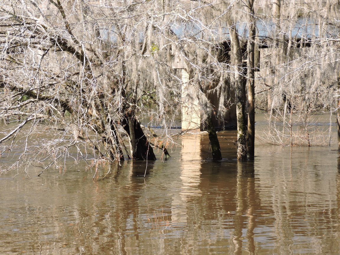 Upstream, bridge, Withlacoochee River