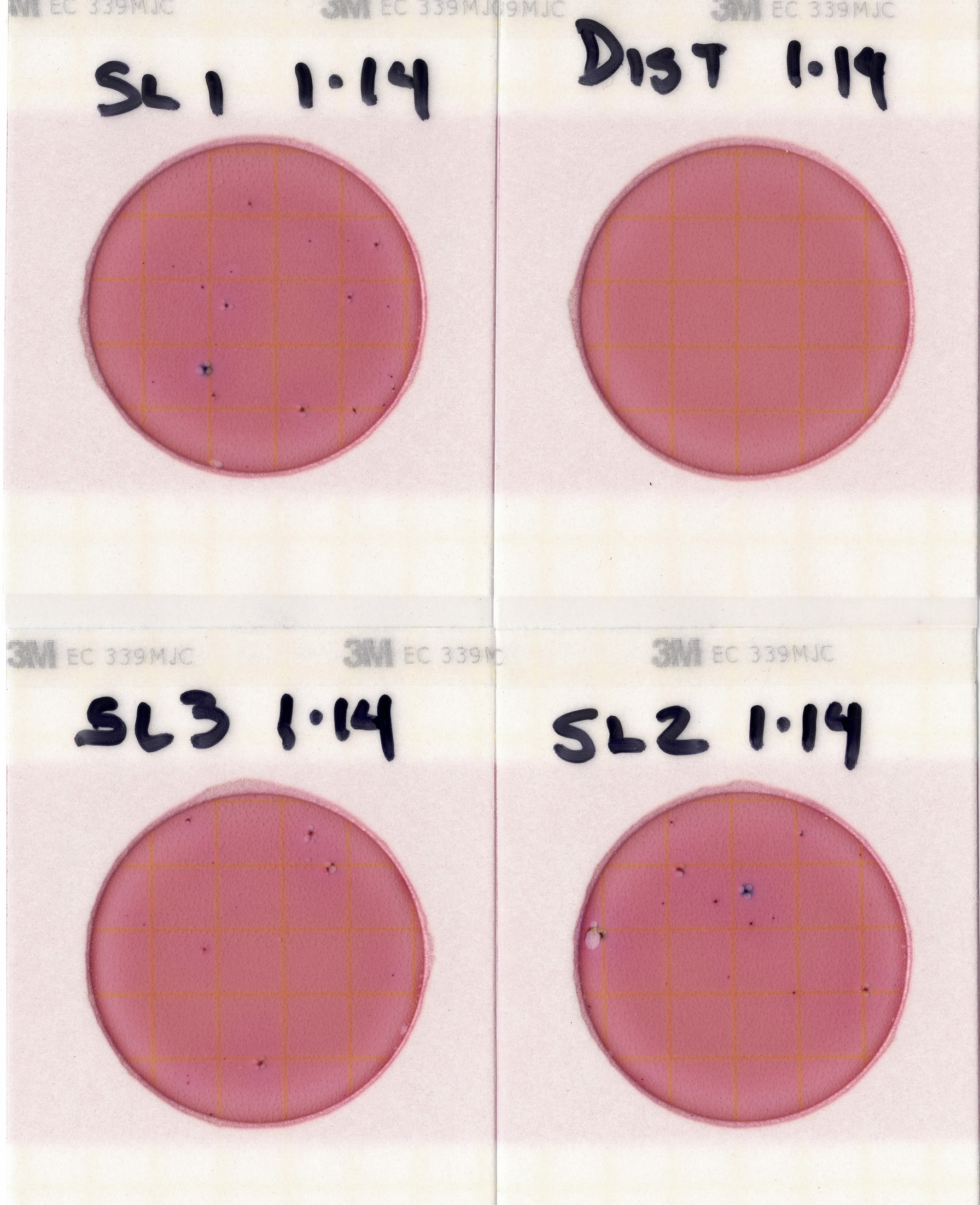 Stateline Plate Images 2021-01-14