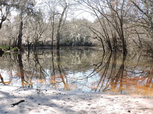 [White sand, Withlacoochee River, Knights Ferry]