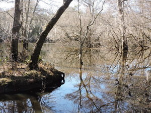 [Knights Ferry downstream, Withlacoochee River]