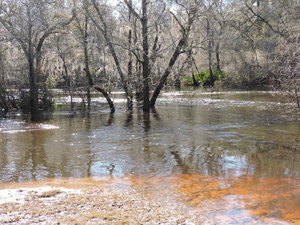 [Downstream, submerged Nankin Boat Ramp]