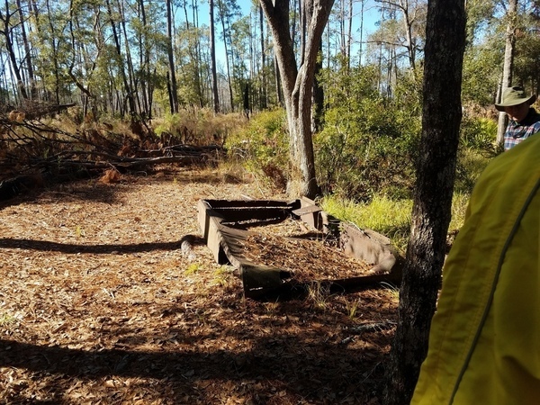 Photo: John S. Quarterman, of logging camp relic on Billy's Island 2016-12-10