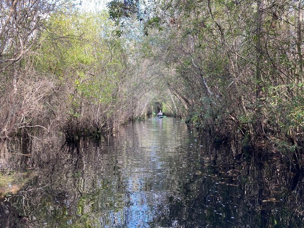 [Photo: Gretchen Quarterman, of Bobby McKenzie in canopy towards Floyd's Island 2020-11-07]