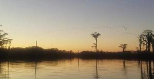 [Photo: John S. Quarterman, Sand hill cranes, Banks Lake NWR, 2018-12-22]