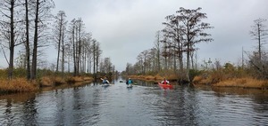 [Suwannee Canal]