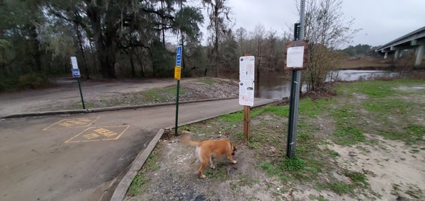 Dog, signs, bridge, State Line Boat Ramp