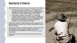 [Bacteria Criteria: Secondary contact recreation for boating, fishing, etc.*]