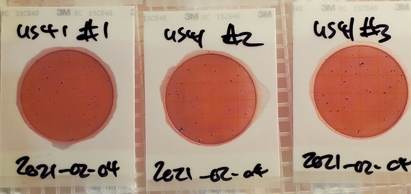 100 cfu/100 mL, US 41, Withlacoochee River