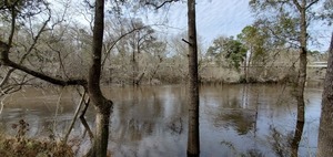 [Upstream to Troup Bridge, Little River]