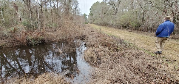 [Toms Branch culverts, south side, Franklinville Road, 12:07:20, 30.98221, -83.2651]