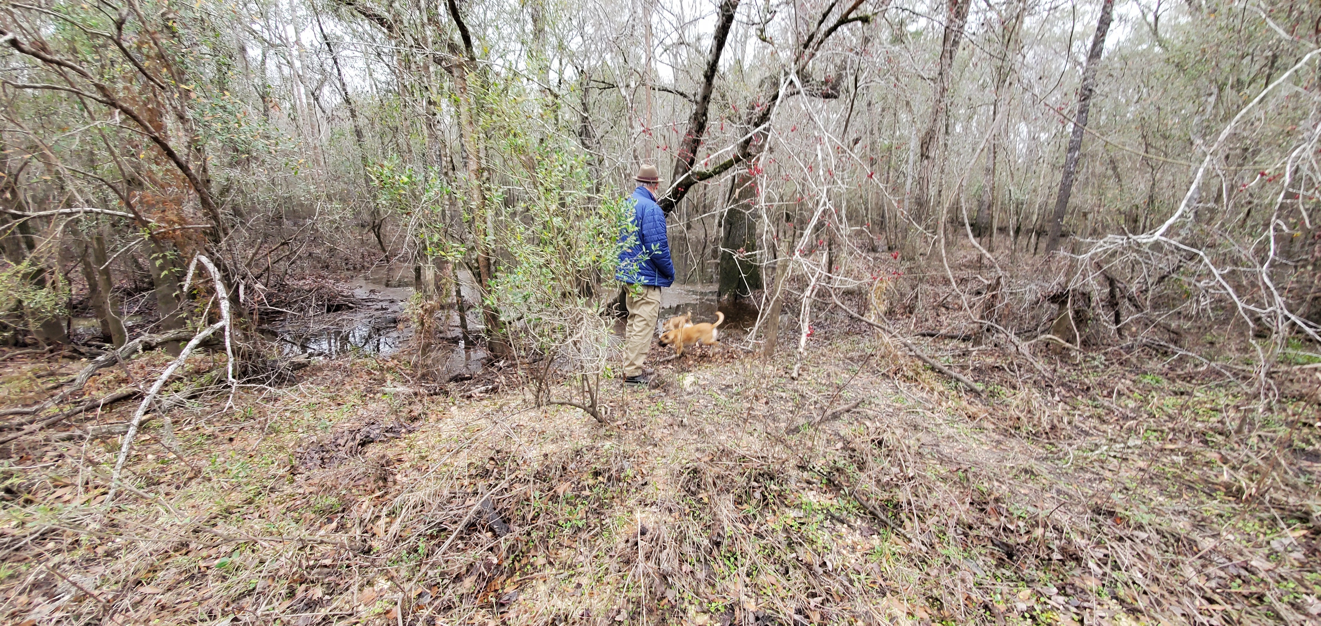 Tom H. Johnson Jr., dogs, Toms Branch, n of Franklinville Road, 12:08:43, 30.9822560, -83.2649579