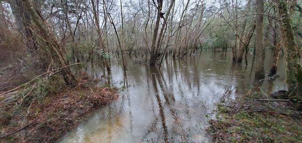 [The low road underwater, 17:46:35, 30.8908273, -83.4077815]