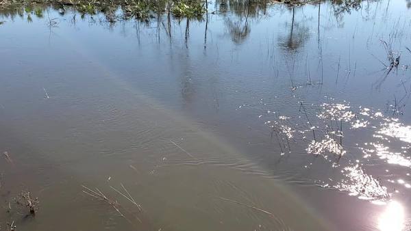 Movie: Inland bridge flow (36M)