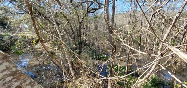 Wade Spring is in there underwater