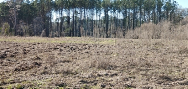 [River across Sabal Trail from Martin Lane fence]