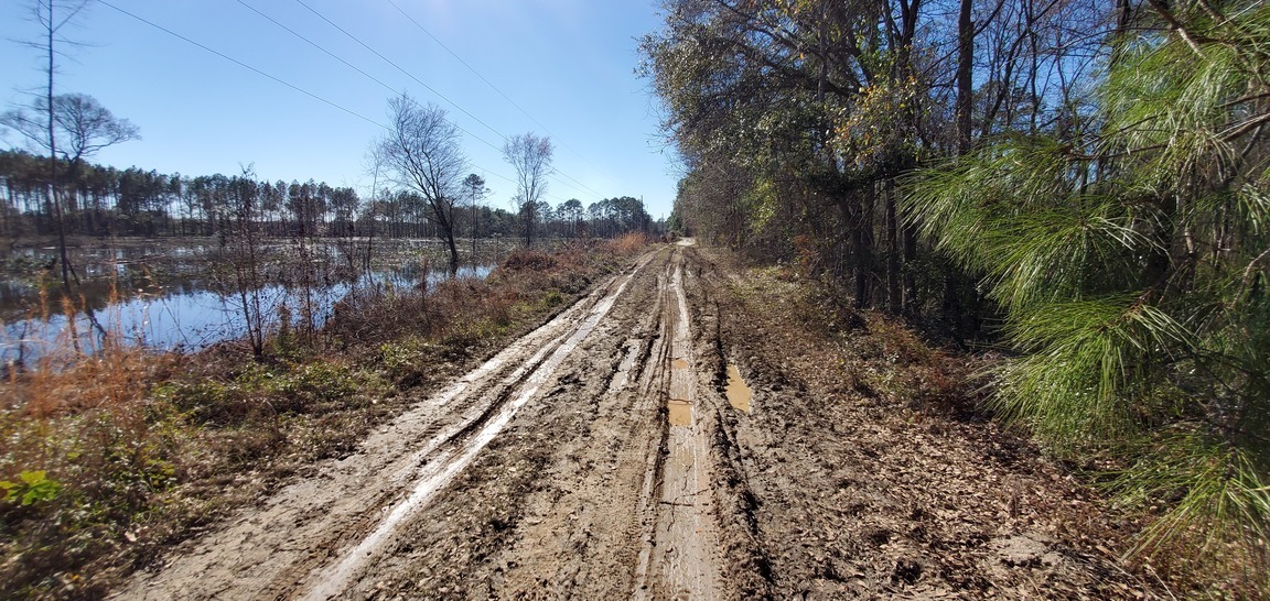 Muddy ahead; park the Prius