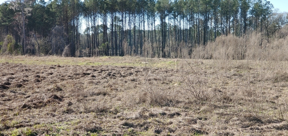 River across Sabal Trail from Martin Lane fence