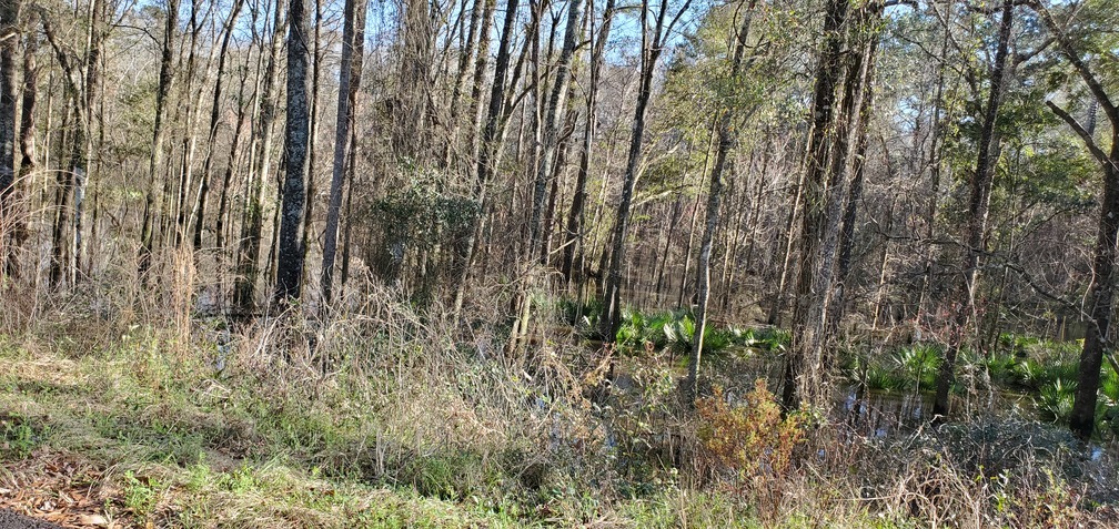 Downstream wet at Blue Springs Road