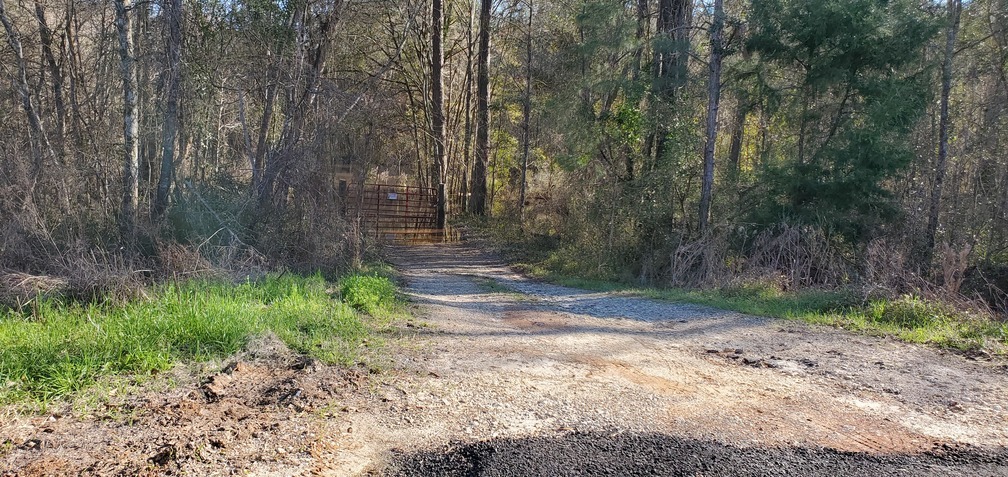 Wet past driveway gate