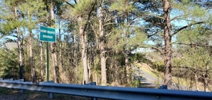 [Henry Reaves Overpass over CSX RR]