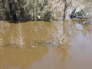 [State Line Boat Ramp seen from above]