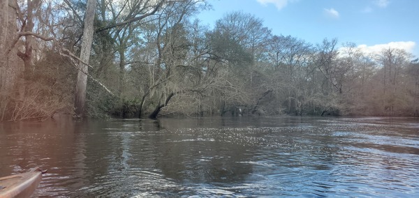 [Distant WWTP outfall sign, 09:38:15, 30.8363392, -83.3590054]