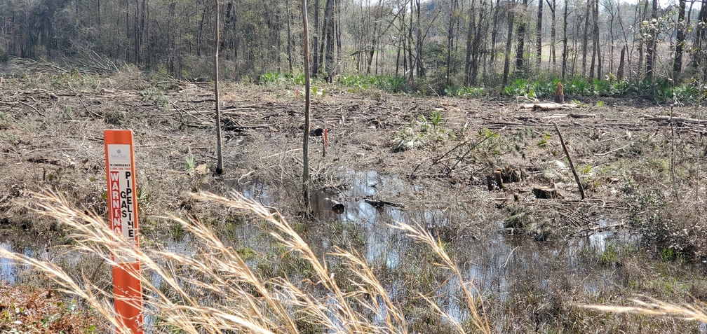 Sabal Trail pipeline (looking south across Tiger Creek), 13:06:10, 30.7902730, -83.4479820