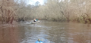 [Those branches are usually 20 feet overhead, 09:07:58, 30.8505670, -83.3483760]