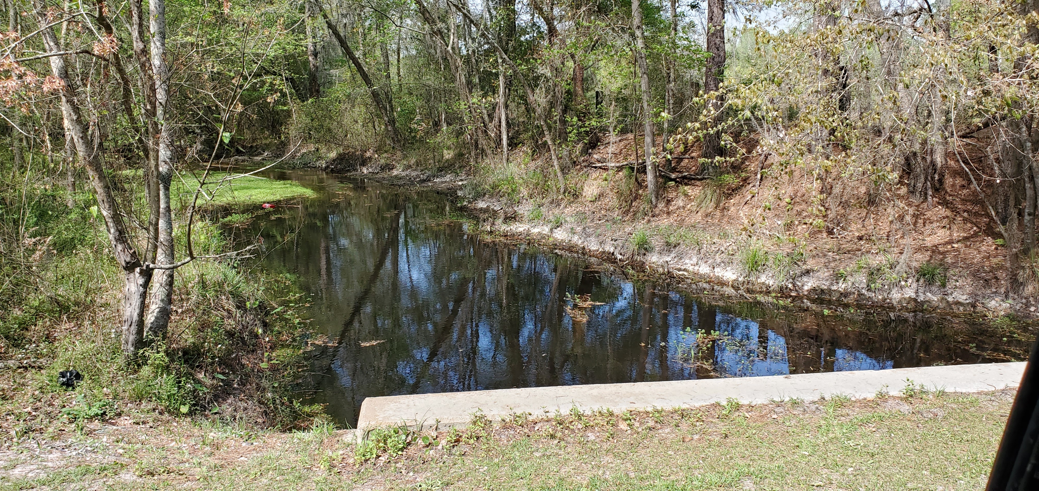 Downstream, Beaverdam Creek, Park Street, 12:18:39, 31.0711680, -83.2023802