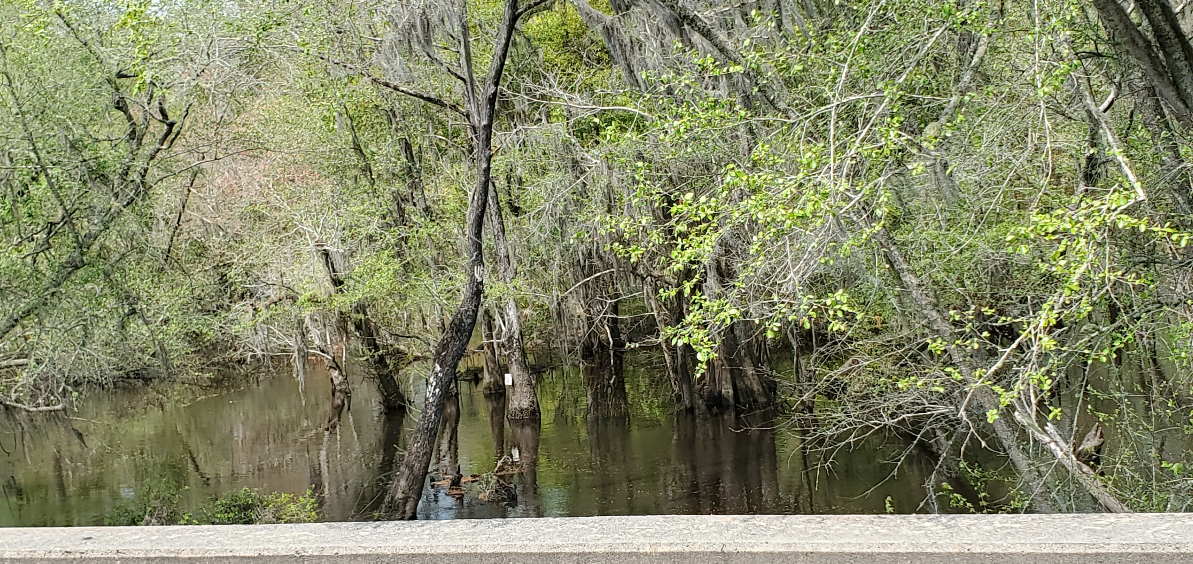 Sign, Withlacoochee River, Futchs Ferry Bridge, 13:08:53, 31.0961704, -83.3167753