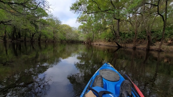 [Boats up around the bend, 10:31:51, 30.8421049, -83.3502203]