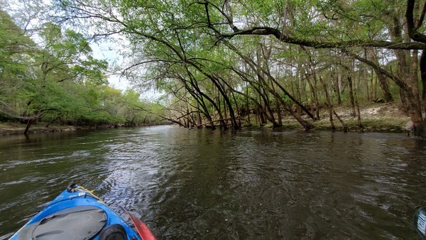 [Concrete block on right bank, 10:35:04, 30.8413710, -83.3533046]