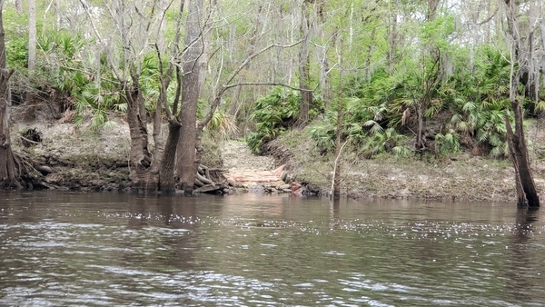 [Lastinger-Scruggs Private Boat Ramp, 10:37:37, 30.8404770, -83.3538890]