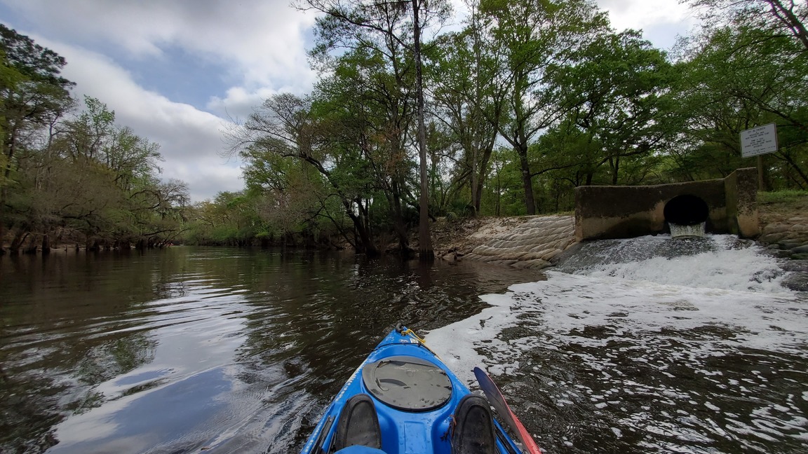 Upstream from WWTP Outfall, 10:44:59, 30.8358870, -83.3594783