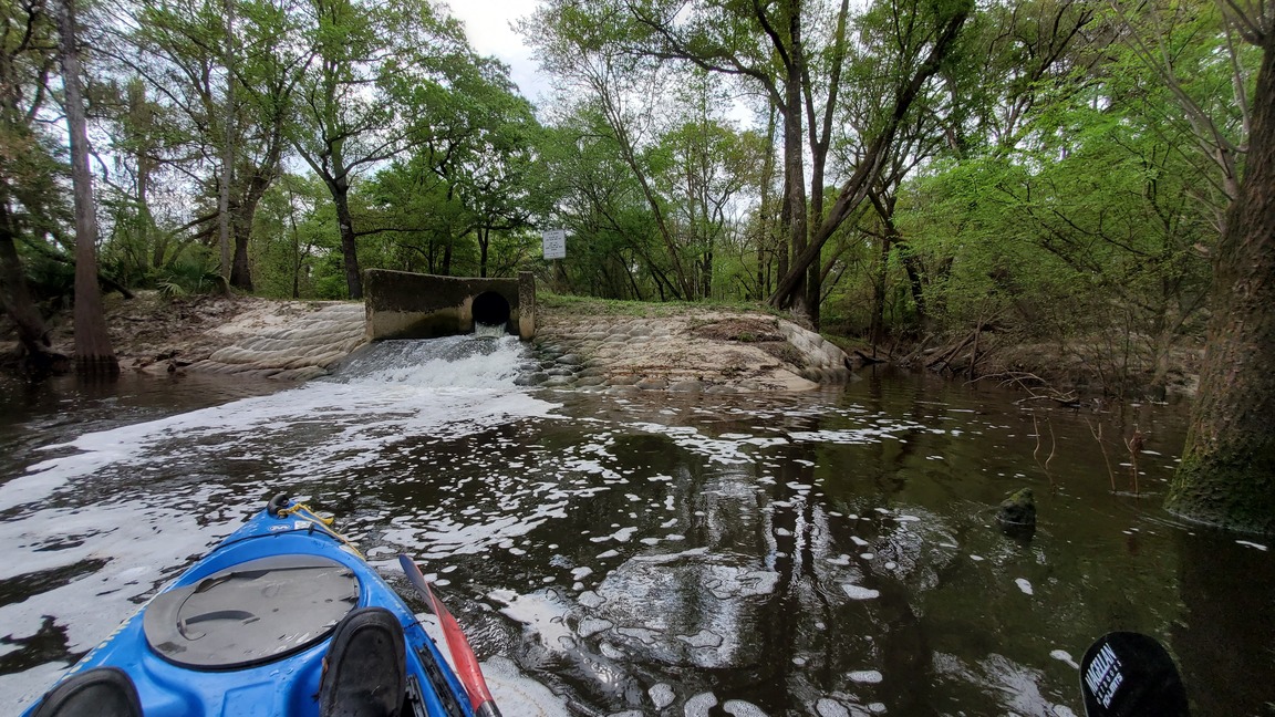 Outlet beside WWTP Outfall, 10:45:12, 30.8361086, -83.3595853