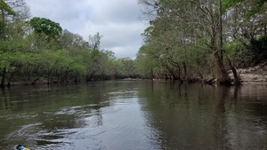 [South down the Withlacoochee River, 10:22:51, 30.847047, -83.3478]