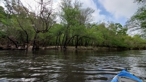 [Left bank bluff, 10:34:55, 30.8413710, -83.3533046]