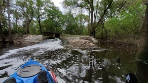 [Outlet beside WWTP Outfall, 10:45:12, 30.8361086, -83.3595853]