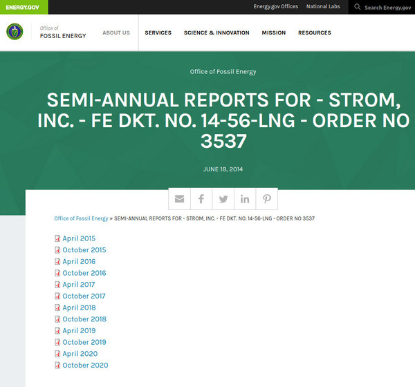 [DoE FE Strom LNG reports]