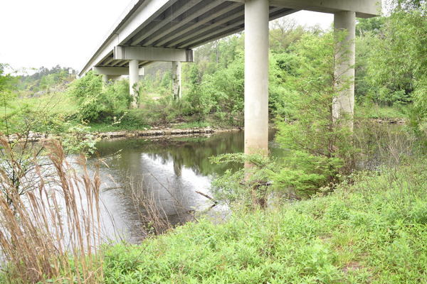 Upstream, State Line Boat Ramp 2021-04-15