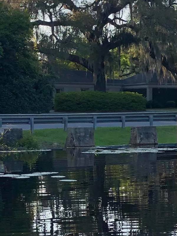 [Trash goes over the spillway and down Twomile Branch to Sugar Creek and on to the Withlacoochee River. The more trash we capture in the pond the less makes it to the river.]