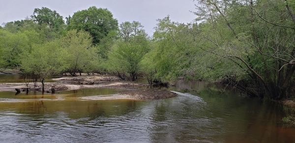 Upstream from Folsom Bridge