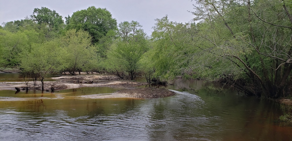 Upstream from Folsom Bridge