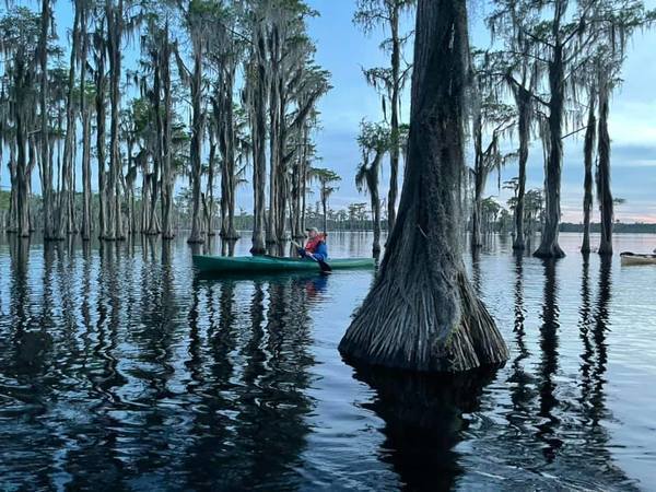 Cypress Potters