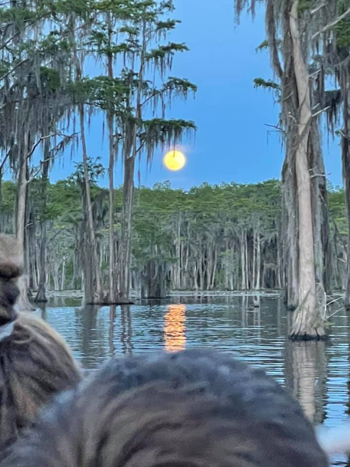 Moon hair