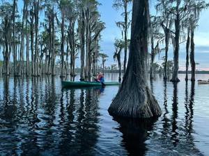 [Cypress Potters]