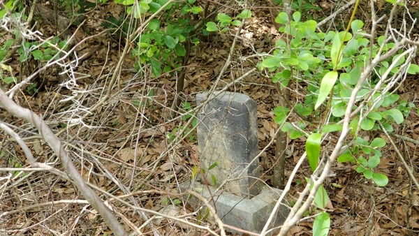 [William McNeal], Born [Dec] 4, 1878, Died Feb. 2?, 1879, [Sleep on, sweet William, and take thy rest. God called thee home, He ?oug ???st., 31.0267190, -83.2881290